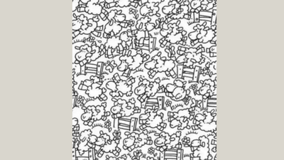 Optical Illusion: Can you spot the sneaky chicken in this image in 8 seconds?