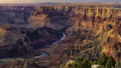 "Trials, tribulations and the 5 stages of grief" – second speed record claimed on the 800-mile Arizona Trail in one week