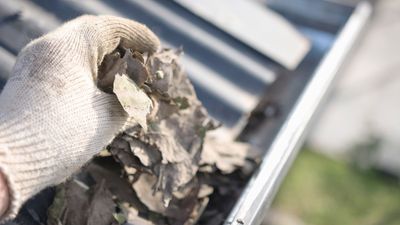 How to clean gutters – experts share how you can get it done safely from a height, and on the ground