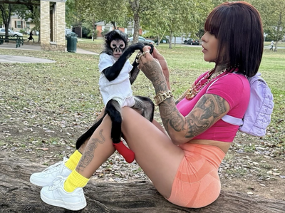 Sick Internet-Famous Monkey Rescued by Animal Sanctuary After Being Seized from Influencer Following Suspected Drunk Driving Accident