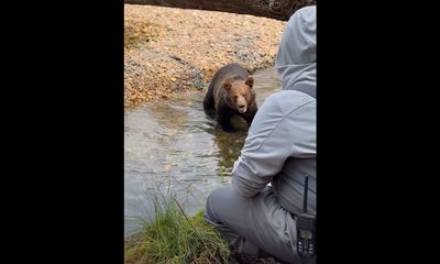 Watch: This grizzly bear encounter was close, but close like family