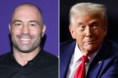 Joe Rogan says many celebrities privately ‘thanked’ him for Trump endorsement