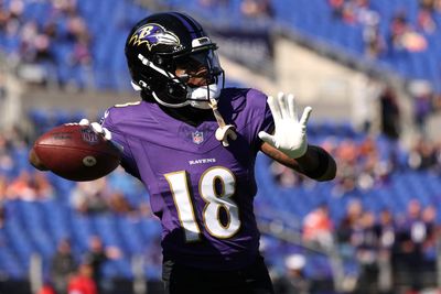 Ravens WR Rashod Bateman on Diontae Johnson settling in: ‘It’s been amazing’