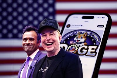 Will Musk's "DOGE" have any real power?