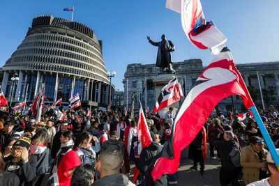 NZ anti-Māori rights bill faces backlash