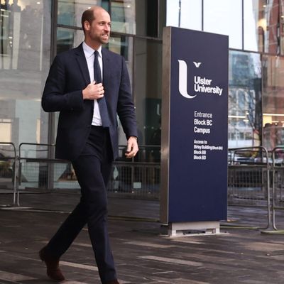 Prince William Was Booed by Protestors at Ulster University in Belfast