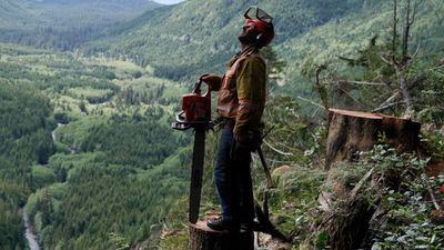 New Discovery Channel series The Last Woodsmen premieres tonight on TV