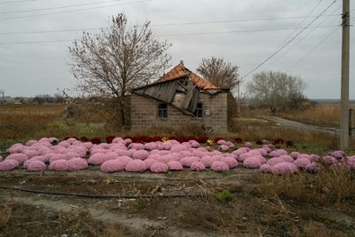 Vice Tightens Around Remaining Civilians In Eastern Ukraine