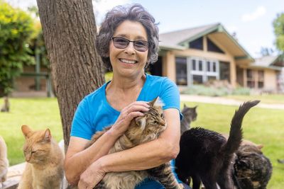 ‘I shared my house with 150 cats – and was told to get rid of them in two weeks’