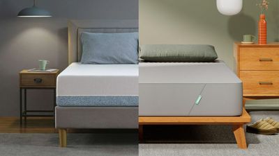 Zinus vs Siena Mattress: I’ve tried both and this is the cheap mattress to buy on Black Friday