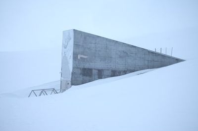 This Doomsday Vault May Hold The Key Food Security In An Unpredictable Future