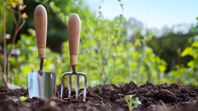 How to buy good gardening tools – expert tips to find tools that last a lifetime