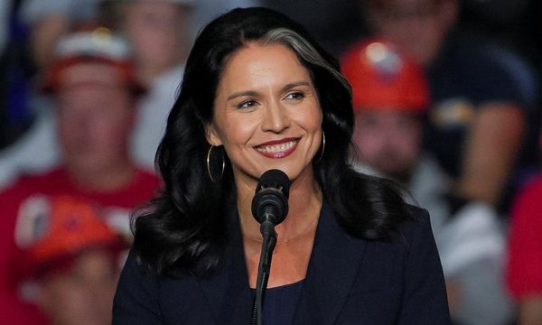 ‘A Russian asset’: Democrats slam Trump’s pick of Tulsi Gabbard as director of national intelligence