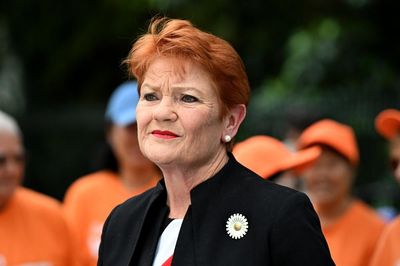 ‘Doomed to fail’: is this the end (again) for Pauline Hanson’s One Nation?