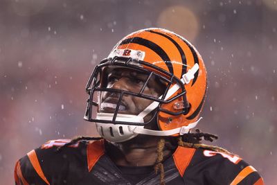 Former Bengals star arrested after Jake Paul vs. Mike Tyson fight