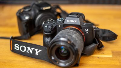 What made Sony's cameras great? How did it surpass Canon and Nikon? NOT by being "cautious",that's for sure!