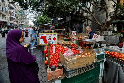 Egypt's Middle Class Cuts Costs As IMF-backed Reforms Take Hold