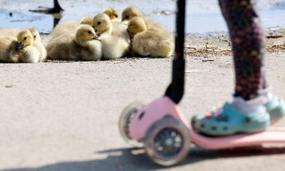 Learning to scoot is all very well, but what’s the point if you can’t ring your own bell?