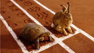 Winning Investment Strategy: Be the Tortoise AND the Hare