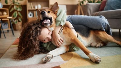 Dogs can feel our emotions through our heart rate, according to new research