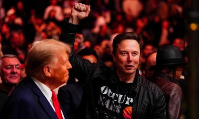 Musk publicly supports Lutnick for treasury secretary as Trump considers pick