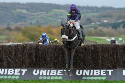 Racing fans left shocked as winning horse dies at Cheltenham - with two others also confirmed dead