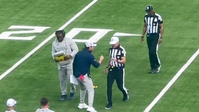 Titans HC Brian Callahan Went Berserk on Refs After Terrible Call Gifts Vikings TD