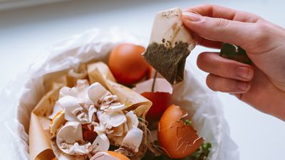 This is the reason you shouldn't put tea bags in your compost bin – and what can go wrong if you do