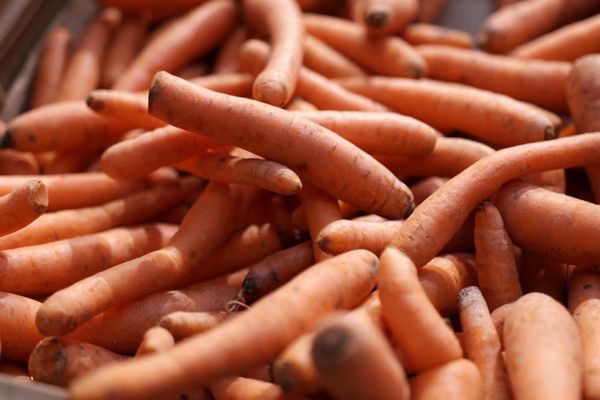 One dead and dozens infected in E coli outbreak linked to organic carrots in US