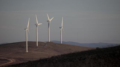 Billions in the bush: energy wires lifeline to farmers