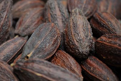 Cocoa may protect against negative effects of fatty foods when stressed – study