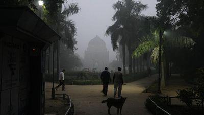 Schools closed, construction work banned as smog descends on Delhi