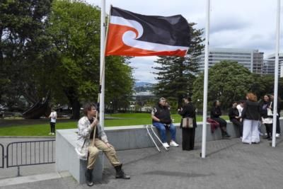 New Zealand Treaty Debate Sparks Political Turmoil And Protests