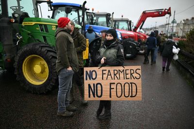 Farmer predicts serious food shortages: ‘I won’t be selling any beef or lamb this week’