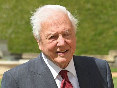 David Attenborough says he is ‘profoundly disturbed’ his voice is being cloned with AI