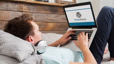 Millions of WordPress sites could be at risk from "one of the most serious" plugin flaws ever found