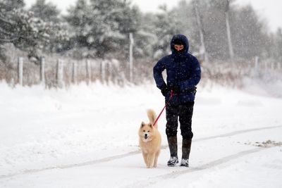 When is it too cold to walk your dog? Here’s how best to prepare your pets
