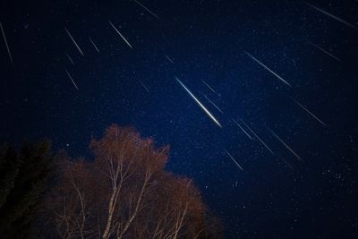 Leonid meteor shower: Break in bad weather offers last chance to see ‘Earth grazer’ shooting stars