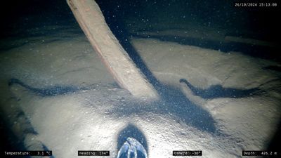 Scientists glean new details of mysterious, centuries-old shipwreck submerged in Norway's largest lake