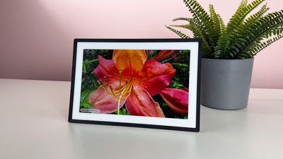 Pexar 11-inch Digital Picture Frame review: bright, brilliant and well priced