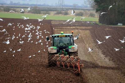 Row over changes to farming inheritance tax: key questions answered