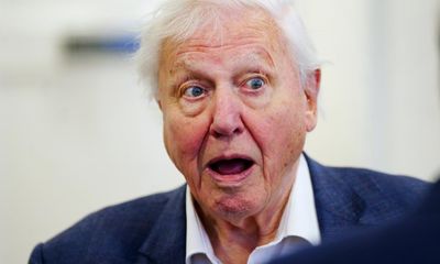 If you can’t trust the voice of David Attenborough, what can you trust?