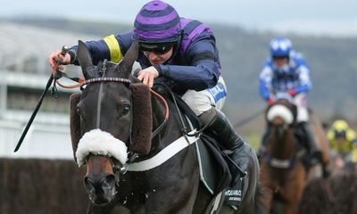 ITN report on Cheltenham horse deaths criticised by racing’s rulers