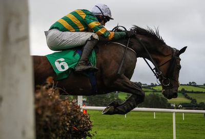 Betfair Chase Runners See A High-Class Field Head To Haydock