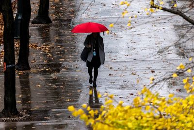 Thanksgiving weather forecast: Snow and rain set to impact large portions of U.S. travel