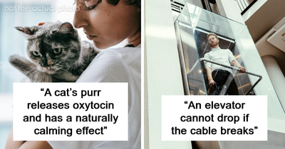 57 Reassuring Facts Not Everyone Might Be Aware Of, According To People Online