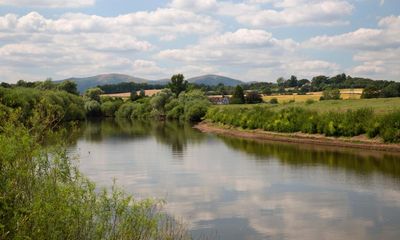 ‘The sores on the fish are nasty’: what’s behind the changes in the River Severn?