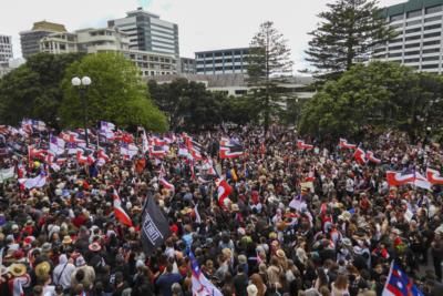 Massive Protest In Wellington Celebrates Maori Identity And Rights