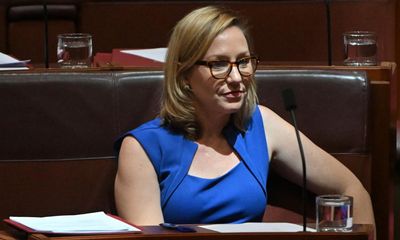 Greens to ask Senate to vote to jettison anti-abortion bill in bid to split Coalition on issue