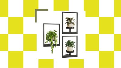 Flourishing Foliage — The Houseplant Frame You Can Use to Display Your Blooms and Transform Them into Living Art